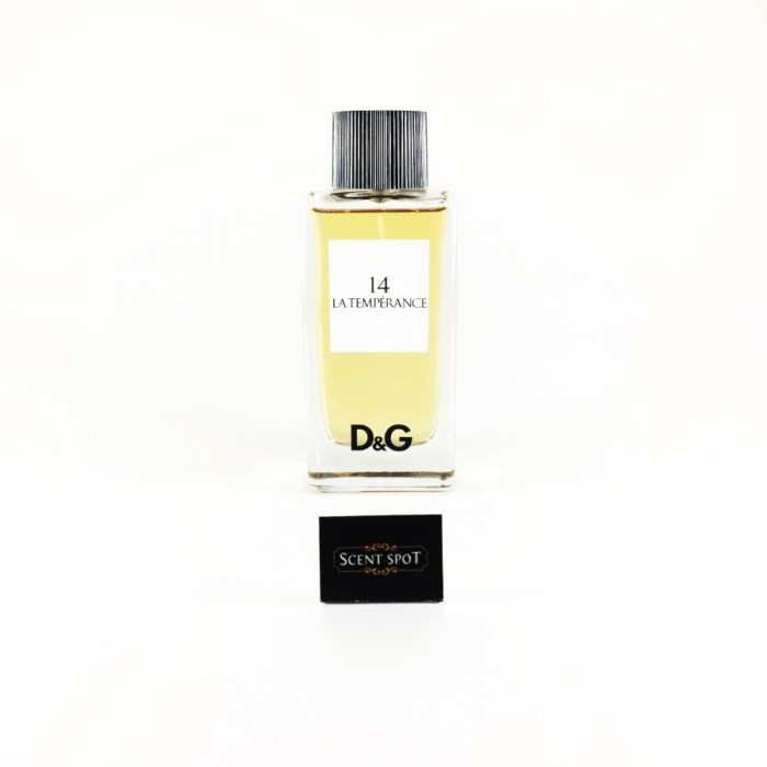 dolce gabbana temperance